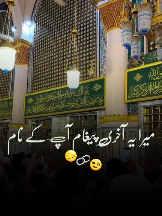 I love Mohammad Sallallahu Alaihi Wasallam