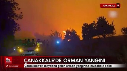 Çanakkale'de çıkan orman yangınına müdahale ediliyor