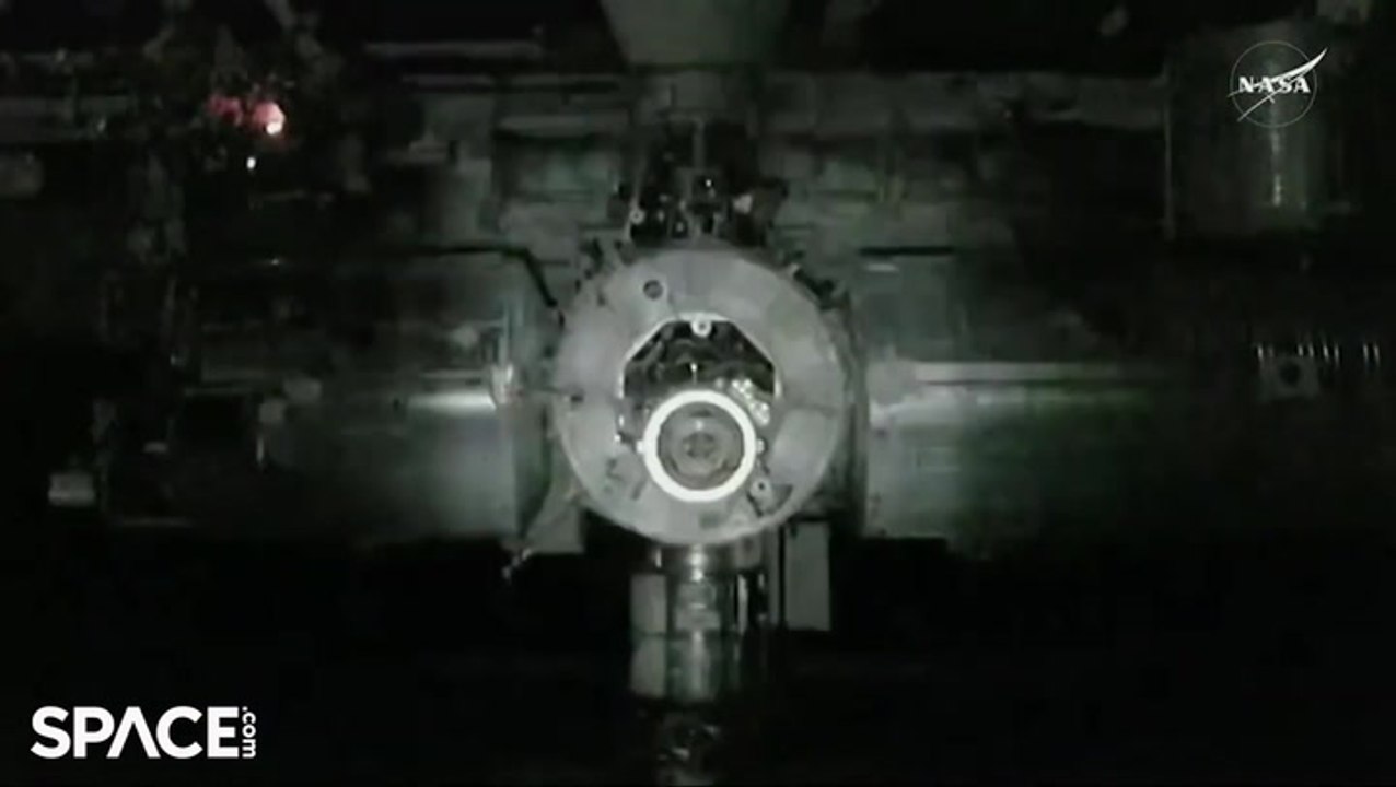Watch NASA's SpaceX Crew-10 Dock With Space Station In This Time-Lapse