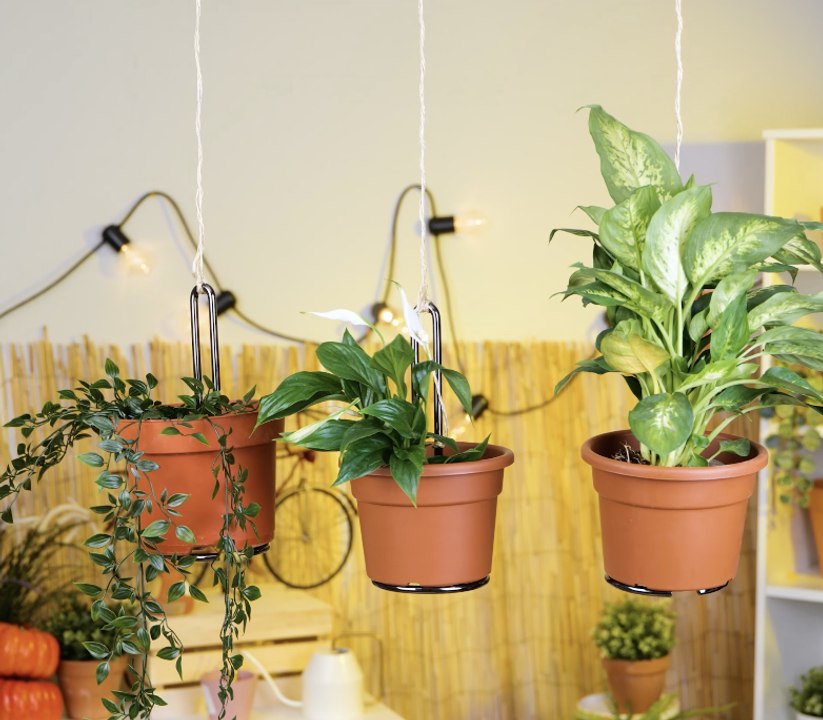 Des astuces de jardinage extraordinaires et des ASTUCES pour des plantes plus saines ! 🌱