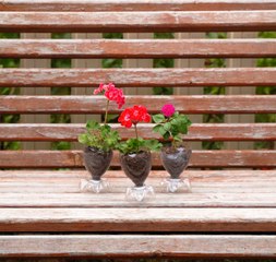 De la verdure à profusion : Conseils de jardinage pour donner vie à votre espace !