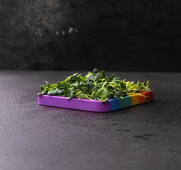 Techniques créatives pour améliorer votre espace extérieur !