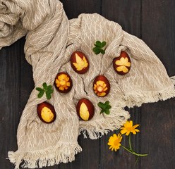 Des ASTUCE tellement BIEN que même le lapin de Pâques en prend note !