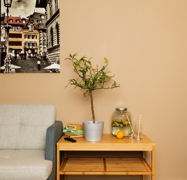 Des ASTUCES de jardinage qui changeront votre jeu avec les plantes !