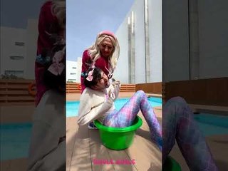 La sirène a-t-elle fait éclore les œufs de canard ?