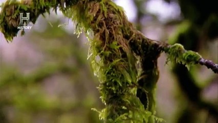 TERRENOS MORTALES  - MIEDO A LA OSCURIDAD(360P)