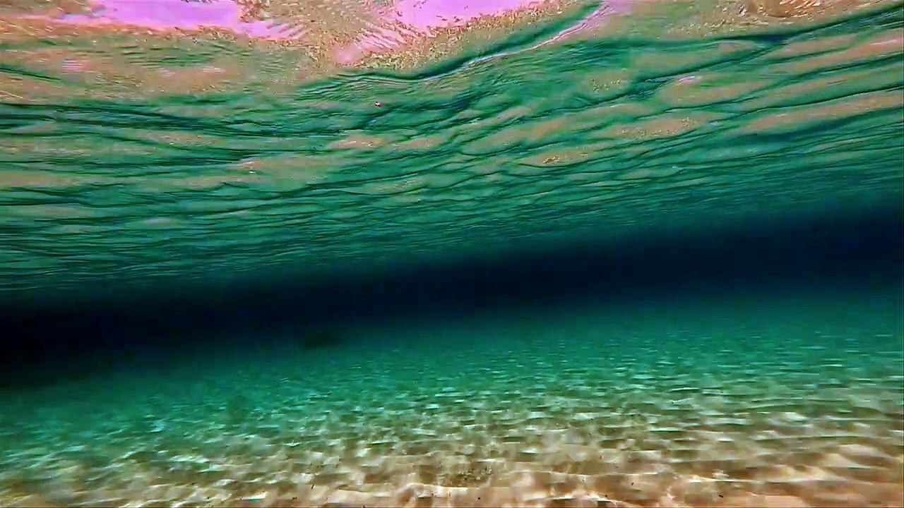 swimming along seabed pov 02