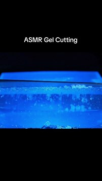 Gel Sponge Cutting ASMR #asmr #asmrvideo #veo3 #satisfying #oddlysatisfying