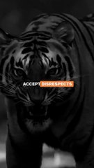 Rise & Inspire: When You Are Angry Stay Silent. If Agree 'Comments' Down