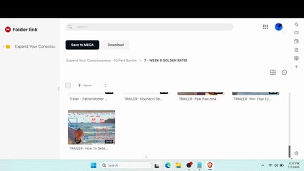(courseslibrary.com)Expand Your Consciousness - Jain 108