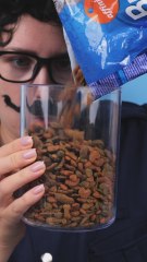 Smart DIY Feeder for the Naughty Fox 🦊🍽️ #diy #pranks #fun