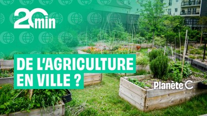 De l'agriculture en ville, c'est possible ?