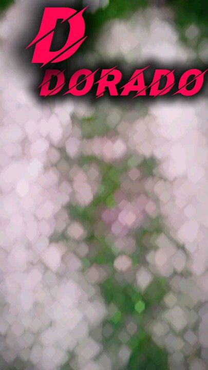 #running #run #runner #fitness #runningmotivation #runnersofinstagram #runners #instarunners #trailrunning #training #marathon #runhappy #sport #workout #runningcommunity #motivation #k #instarun #garmin #gym #fitnessmotivation #runnerscommunity