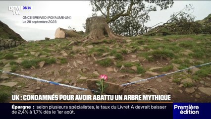 Royaume-Uni: 4 ans de prison pour les deux hommes ayant abattu un arbre mythique