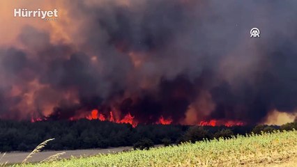 Şarköy'deki orman yangını Çanakkale'ye sıçradı! Bölgeden yeni görüntüler