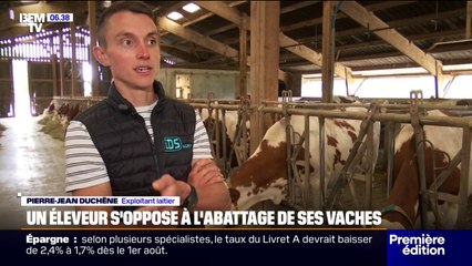 En Savoie, un éleveur s'oppose à l'abattage de ses vaches