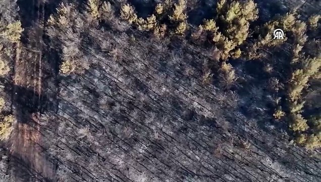 Tekirdağ'da orman yangınından etkilenen alanlar havadan görüntülendi