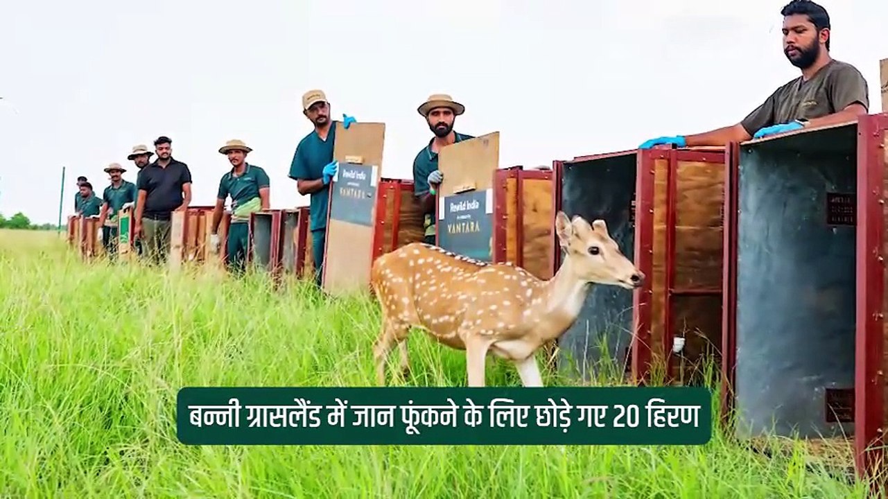 अनंत अंबानी का ड्रीम प्रोजेक्ट वनतारा, सिर्फ जानवरों का घर नहीं, बल्कि उनकी नई जिंदगी है।