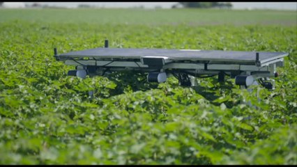 Robot AI per sostituire i diserbanti e i braccianti agricoli