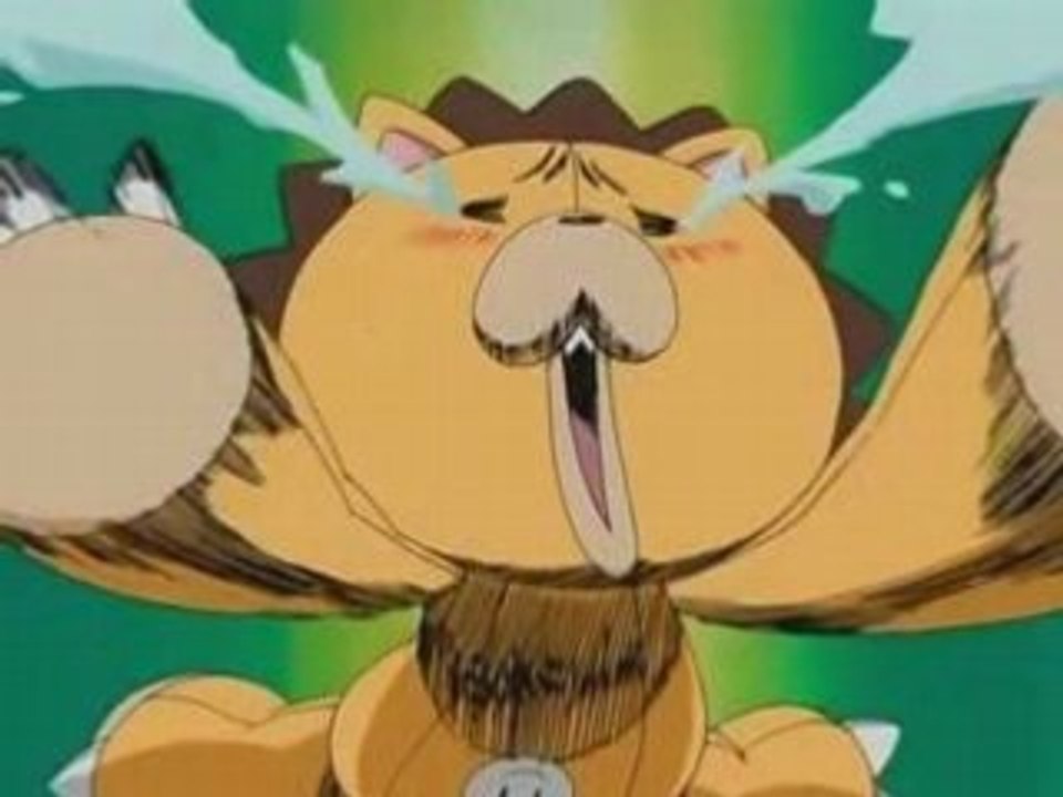 Tribute to Kon