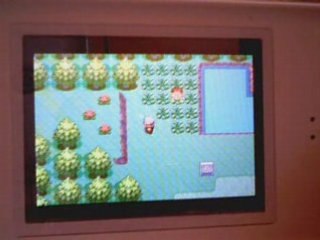 pokémon rubis (3) combat de titans