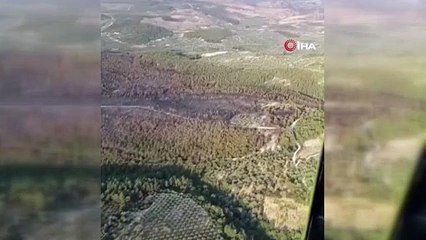 Manisa’da orman yangını kontrol altına alındı