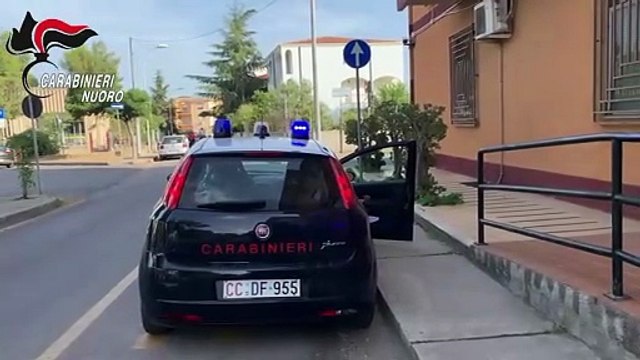 Il blitz dei carabinieri: la fabbrica della marijuana a casa di un 40enne