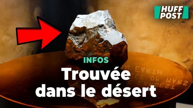 Comment cette énorme roche martienne, mise aux enchères, est arrivée sur Terre