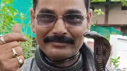 MP: गले में जहरीला कोबरा, डसने से हुई मौत