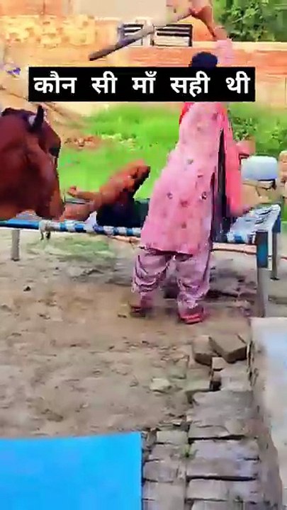 all_world_top_cow_😱😱_jai_gau_mata_#trending_#subscribe_#shorts_#viral_#like_#new_#top(360p)