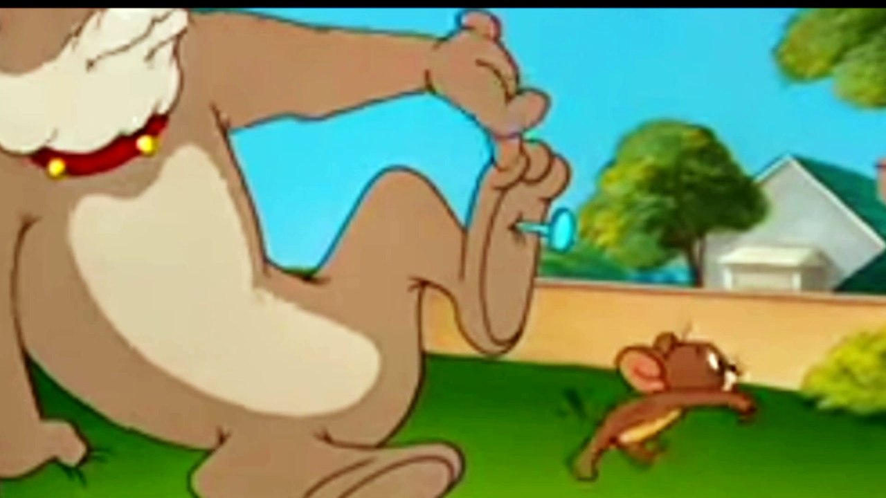 Tom and Jerry funny
