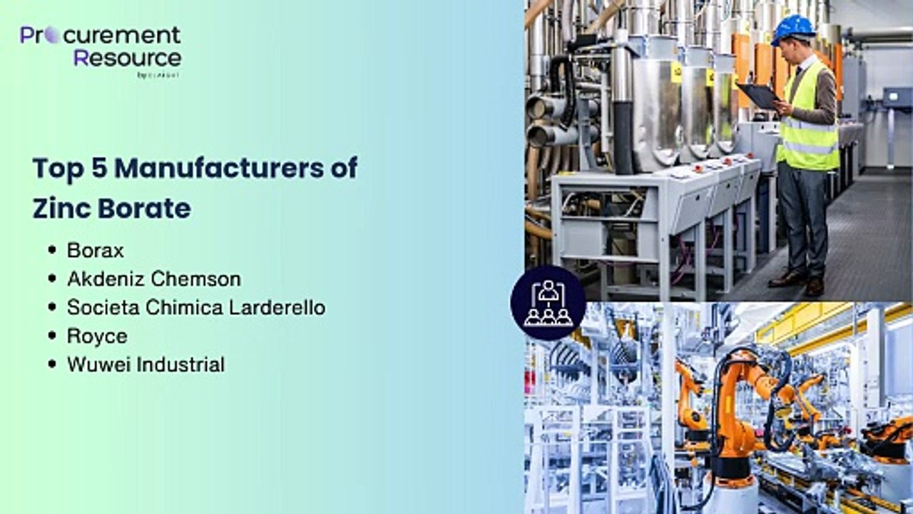 Zinc Borate Manufacturing Plant Project Report