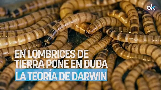 Los científicos no dan crédito: un hallazgo en lombrices de tierra pone en duda la teoría de Darwin