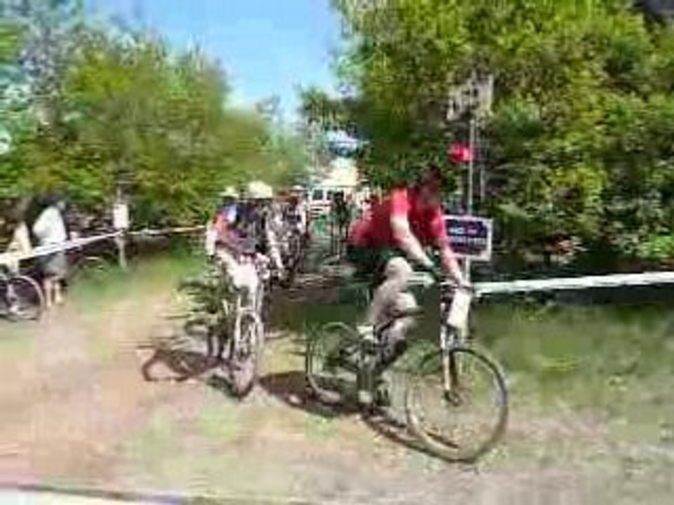 crapauds 2008