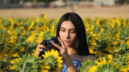 Fotoğraf tutkunlarının yeni adresi: "Gündöndü" tarlaları!