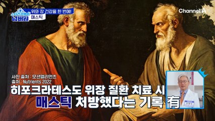 위장 건강과 통증에 쓰인 천연 물질 '매스틱' 위와 장 건강을 한 번에 챙기자!