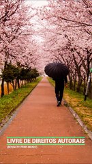 ✅💘Dia chuvoso- Música relaxante com sons suaves de chuva durma tranquilo relaxe- Fragmentos #88