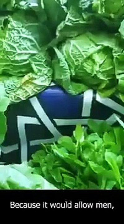 HKGJ：All Meats, All Temps—Covered by 4 Meat Thermometer