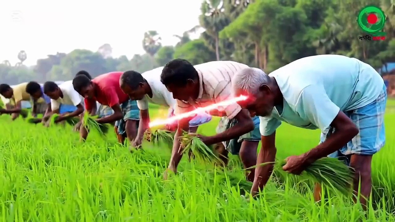 The Forgotten Struggles | A Journey Through Rural Life | Simplicity | and the Spirit of Old Bengal
