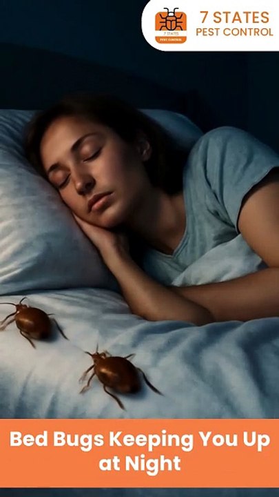 Melbourne’s Trusted Bed Bug Treatment Specialists | 7 States Pest Control