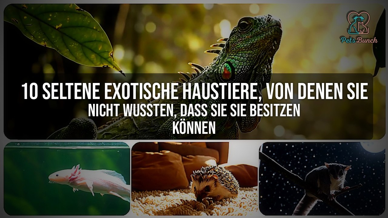 10 Seltene Exotische Haustiere, von denen Sie Nicht Wussten, Dass Sie Sie Besitzen Können - Die Sie Zu Hause Behalten Können!