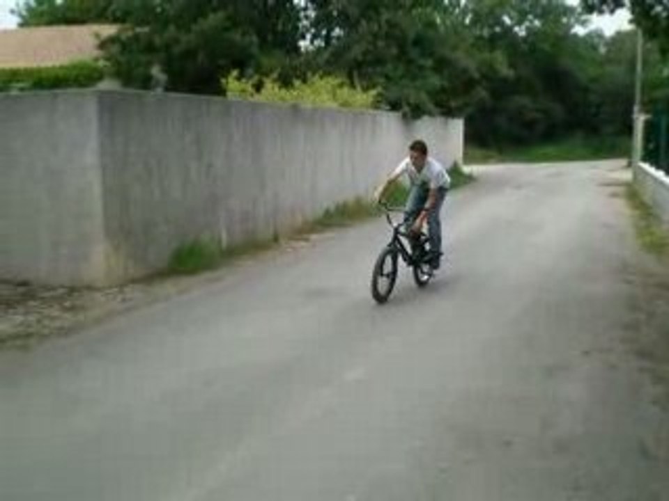 petit barspin