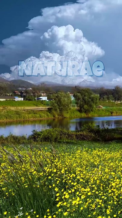 Beautiful clear sky - video Dailymotion