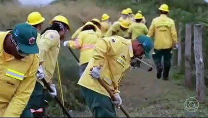 BOM DIA BRASIL 16/07/2025