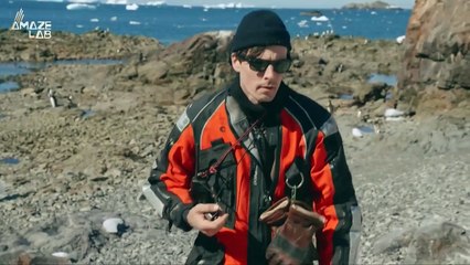 Could Penguins Be the Key to Our Climate Solution?