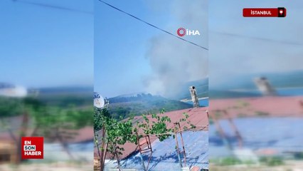İstanbul'da Sultangazi Kent Ormanı'ndan alevler yükseldi