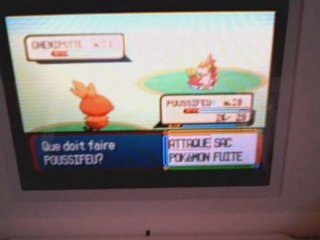 pokémon rubis (5) la foret sans fin partie 1