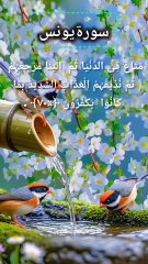 Surah Younus Quran Recitation