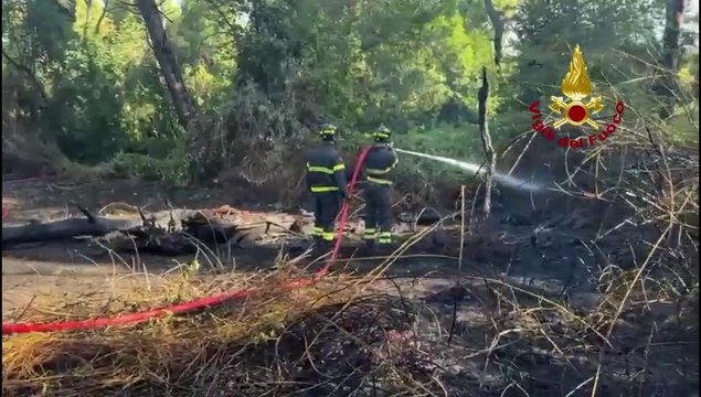 Pescara, fiamme nella Pineta Dannunziana: notte di lavoro per i vigili del fuoco (16.07.25)