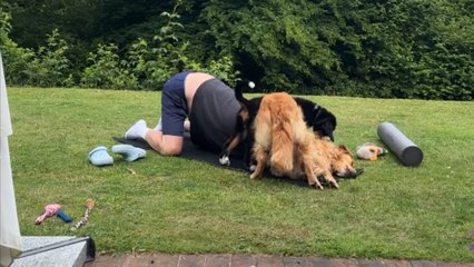 Man's fitness plans are wrecked by dogs who just want to play